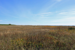 2015.09-carleton_nouvelle-04