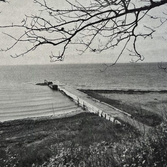 Lieu Test en English