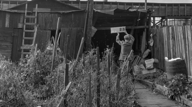 Goose Village/Village-aux-Oies