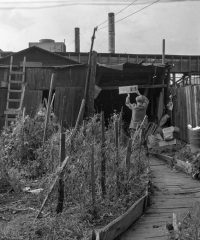 Goose Village/Village-aux-Oies