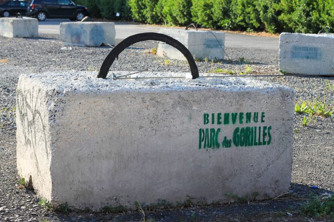 Parc des Gorilles