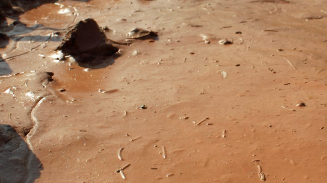 La Mine-à-Peinture-de-Titi-Henry