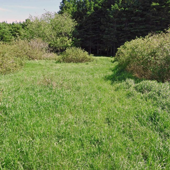Lac à Pot d’Chambre