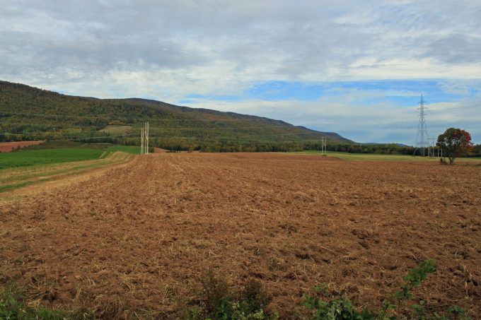 Chemin des Buttereaux