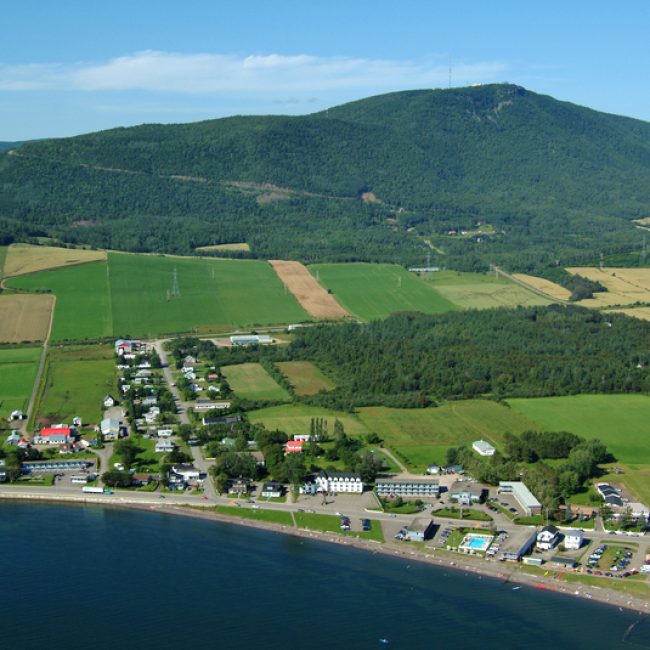 Coteaux à Taguine